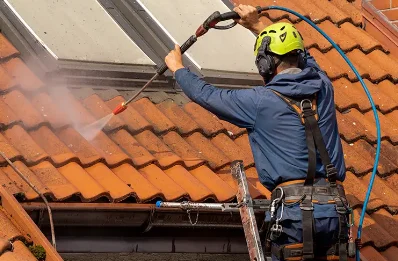 Démoussage et hydrofuge de toiture à Fléty